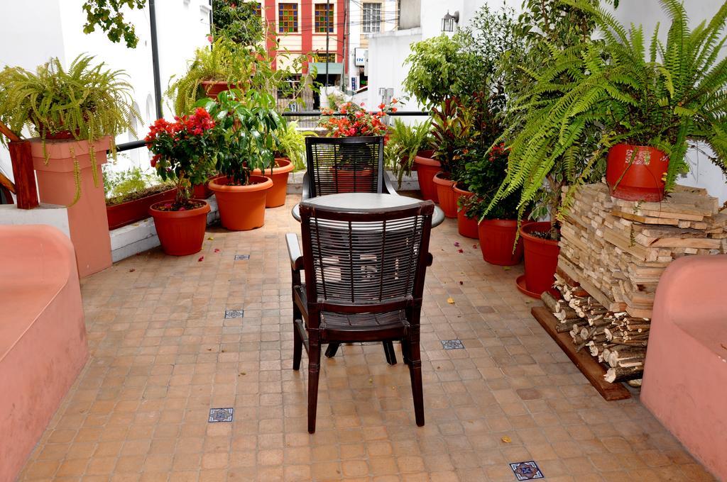 Bed & Breakfast Boutique Casa Foch